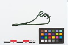 Foto von Bronzeschlangenfibel (NHMW-PRAE-024678)